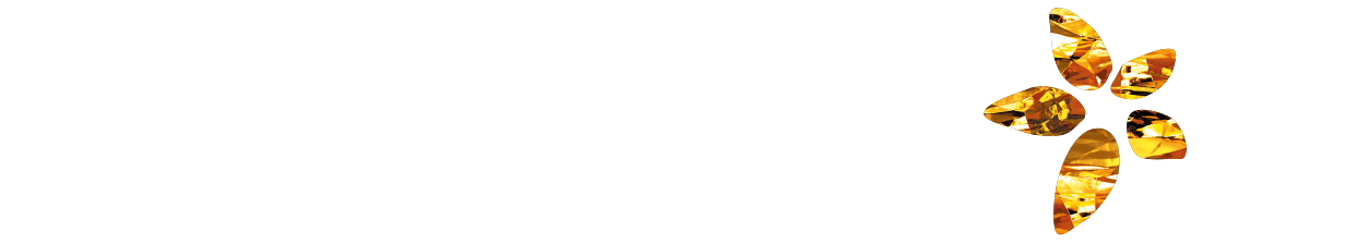 Etoile Ville(エトワールヴィル)シリーズ